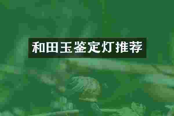 和田玉鉴定灯推荐