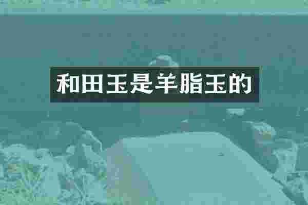 和田玉是羊脂玉的
