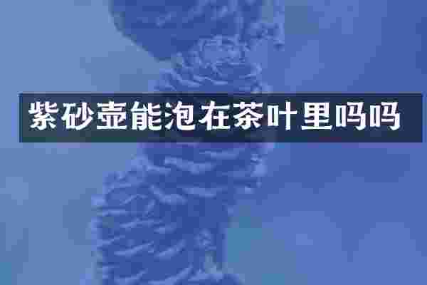 紫砂壶能泡在茶叶里吗吗