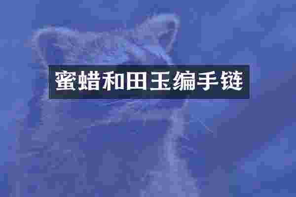 蜜蜡和田玉编手链