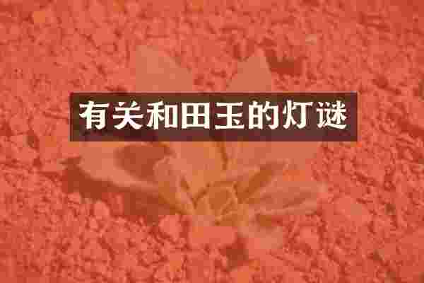 有关和田玉的灯谜