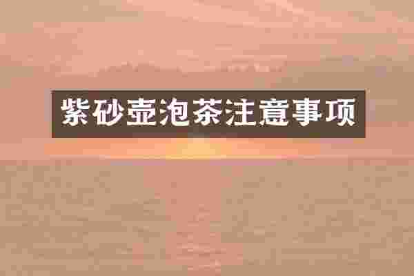 紫砂壶泡茶注意事项