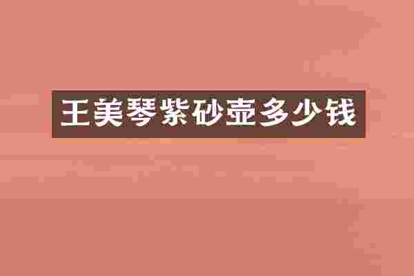 王美琴紫砂壶多少钱