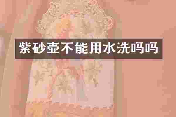 紫砂壶不能用水洗吗吗