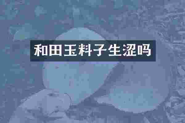 和田玉料子生涩吗