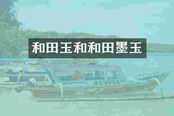 和田玉和和田墨玉