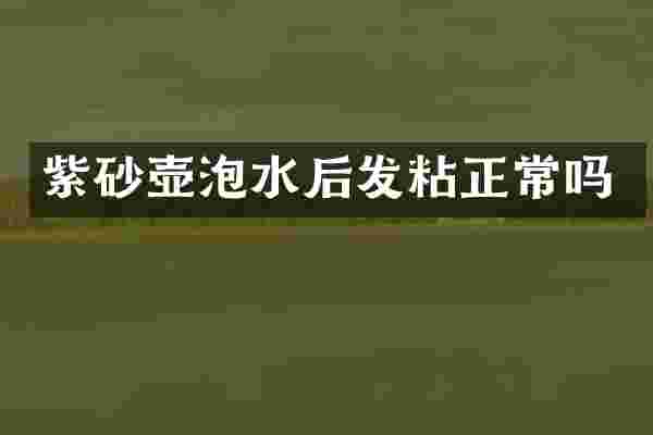 紫砂壶泡水后发粘正常吗