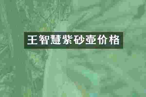 王智慧紫砂壶价格