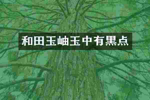 和田玉岫玉中有黑点