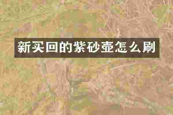 新买回的紫砂壶怎么刷
