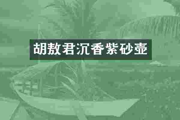 胡敖君沉香紫砂壶