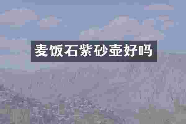 麦饭石紫砂壶好吗