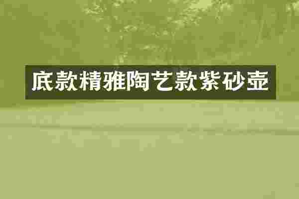 底款精雅陶艺款紫砂壶