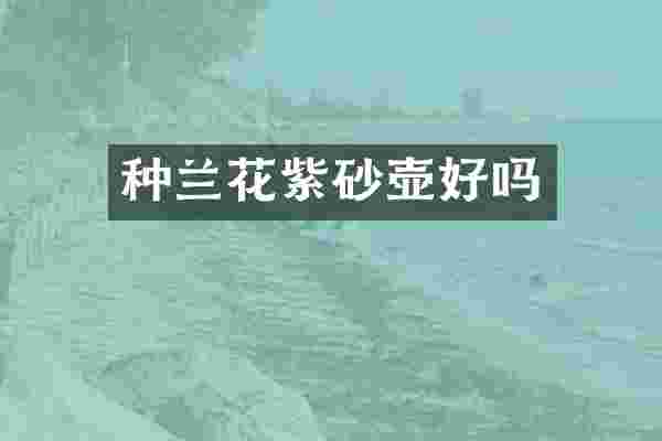 种兰花紫砂壶好吗