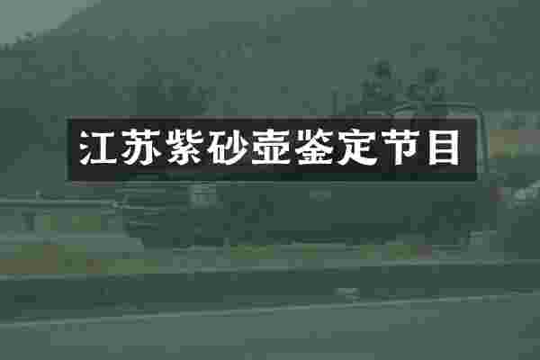 江苏紫砂壶鉴定节目
