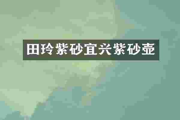 田玲紫砂宜兴紫砂壶