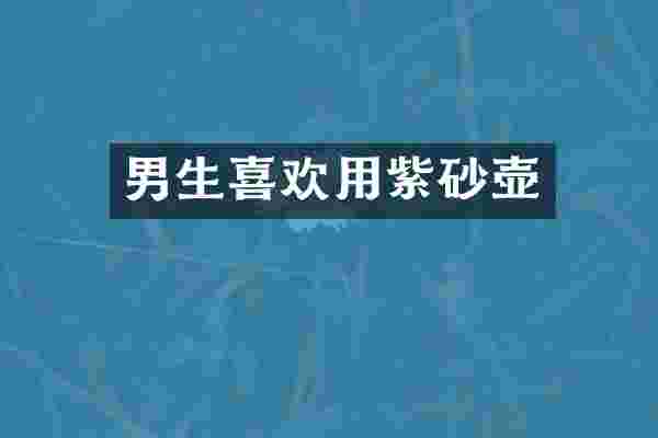 男生喜欢用紫砂壶