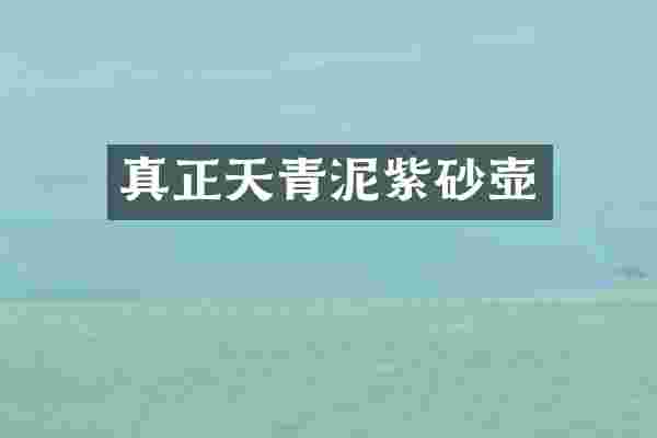 真正天青泥紫砂壶