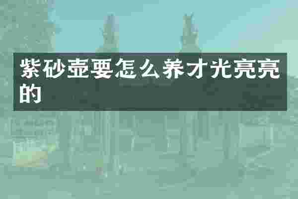 紫砂壶要怎么养才光亮亮的