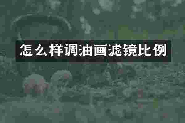 怎么样调油画滤镜比例