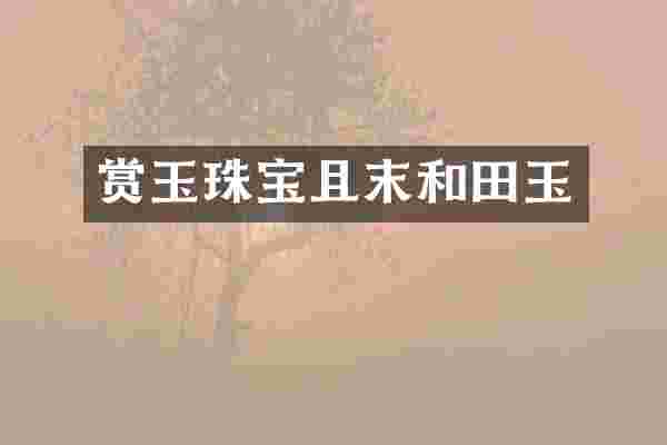 赏玉珠宝且末和田玉
