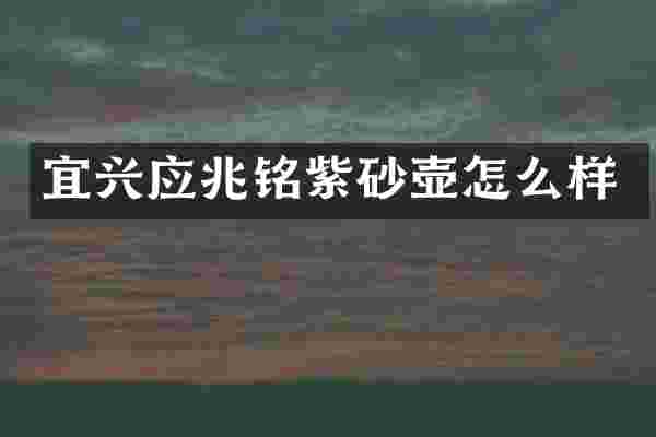 宜兴应兆铭紫砂壶怎么样