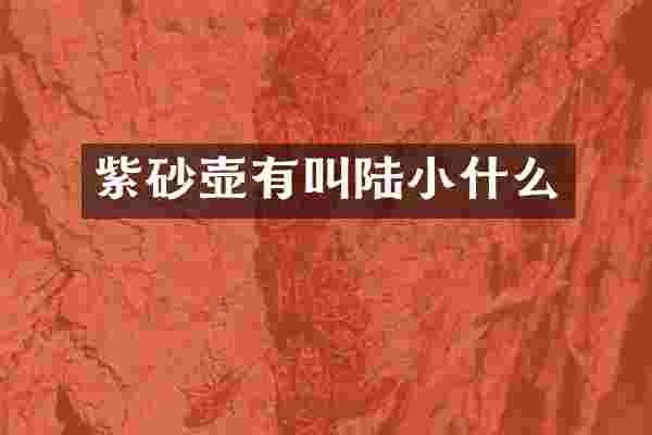 紫砂壶有叫陆小什么