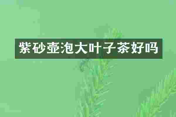 紫砂壶泡大叶子茶好吗