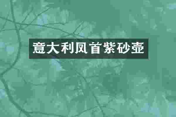意大利凤首紫砂壶