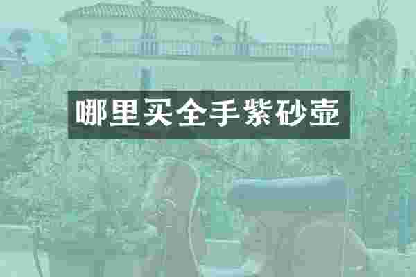 哪里买全手紫砂壶