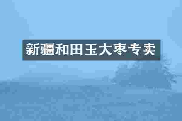 新疆和田玉大枣专卖