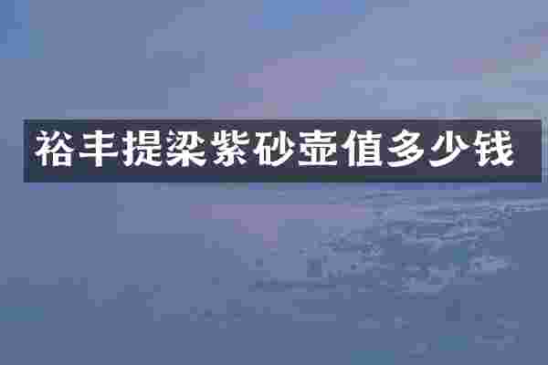 裕丰提梁紫砂壶值多少钱