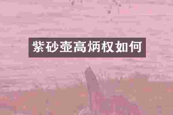 紫砂壶高炳权如何