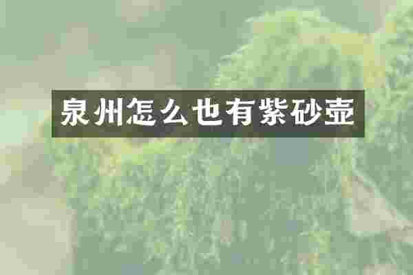 泉州怎么也有紫砂壶
