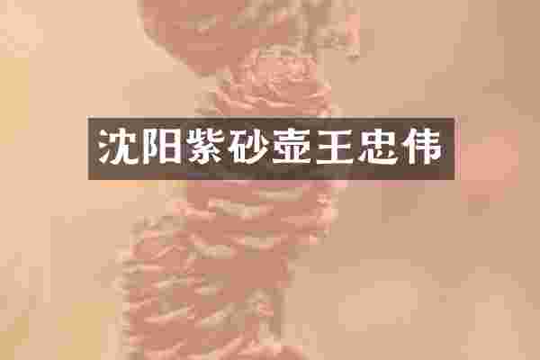 沈阳紫砂壶王忠伟