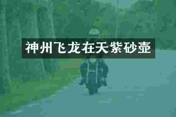 神州飞龙在天紫砂壶