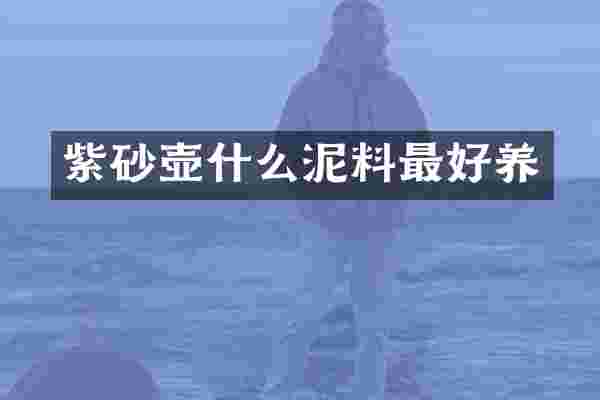 紫砂壶什么泥料最好养