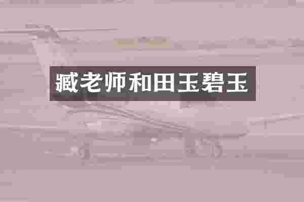 臧老师和田玉碧玉