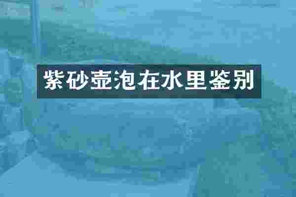 紫砂壶泡在水里鉴别