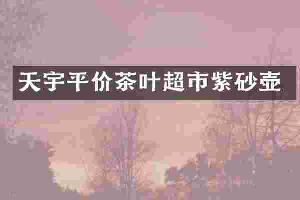 天宇平价茶叶超市紫砂壶
