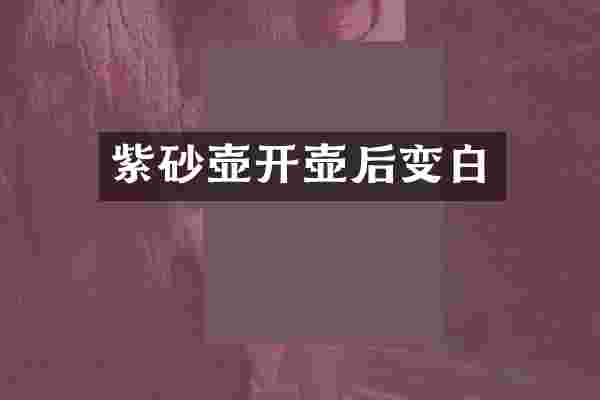 紫砂壶开壶后变白