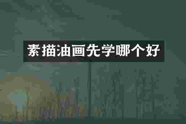素描油画先学哪个好