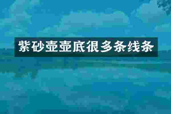 紫砂壶壶底很多条线条