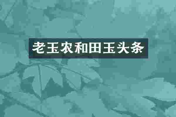 老玉农和田玉头条