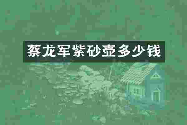 蔡龙军紫砂壶多少钱