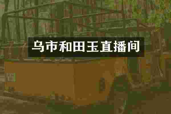 乌市和田玉直播间