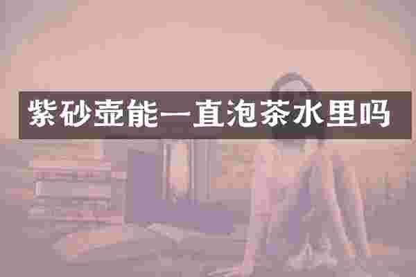 紫砂壶能一直泡茶水里吗