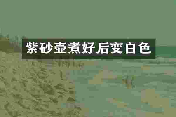 紫砂壶煮好后变白色