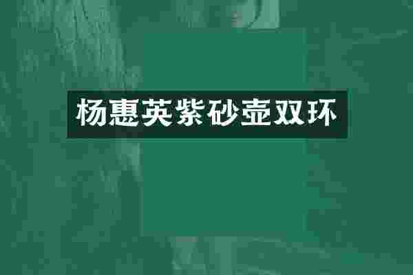 杨惠英紫砂壶双环