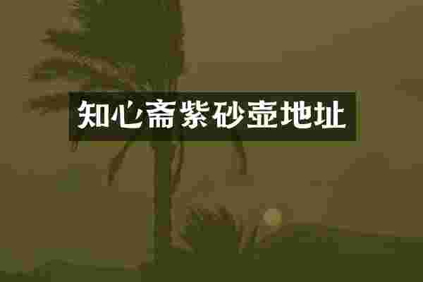 知心斋紫砂壶地址